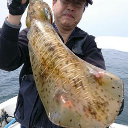 きずなまりん 釣果