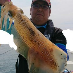 きずなまりん 釣果