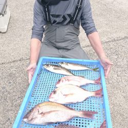 第三共栄丸 釣果