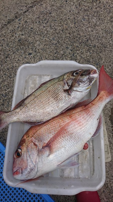 第三共栄丸 釣果