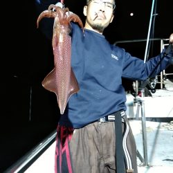 LUSTER『ラスター』 釣果