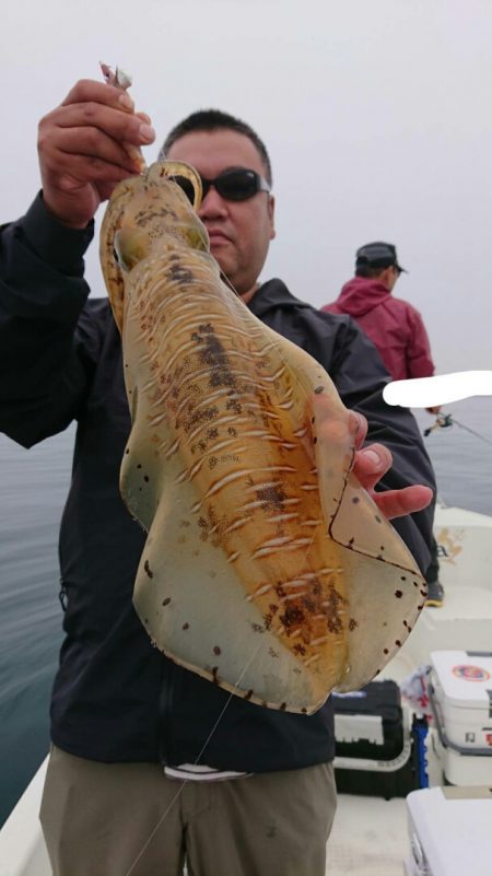 きずなまりん 釣果