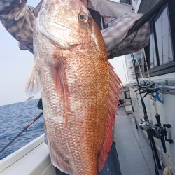 だて丸 釣果