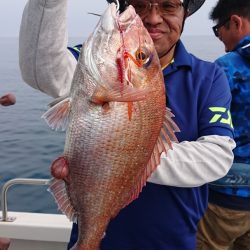 ARCADIAⅡ (アルカディアⅡ) 釣果