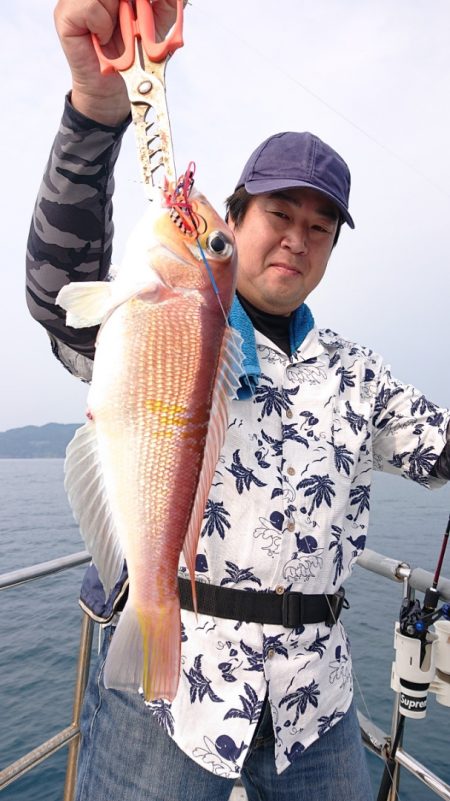 ARCADIAⅡ (アルカディアⅡ) 釣果