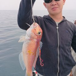 ARCADIAⅡ (アルカディアⅡ) 釣果