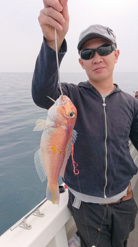 ARCADIAⅡ (アルカディアⅡ) 釣果