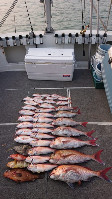 ARCADIAⅡ (アルカディアⅡ) 釣果