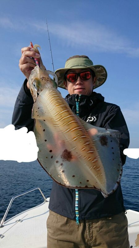 きずなまりん 釣果