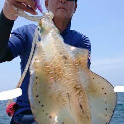 きずなまりん 釣果