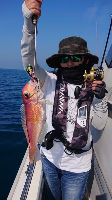 ARCADIAⅡ (アルカディアⅡ) 釣果