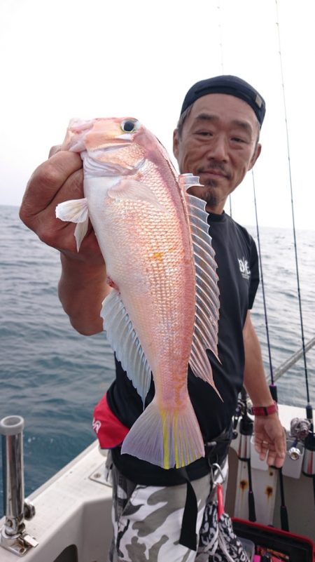 ARCADIAⅡ (アルカディアⅡ) 釣果