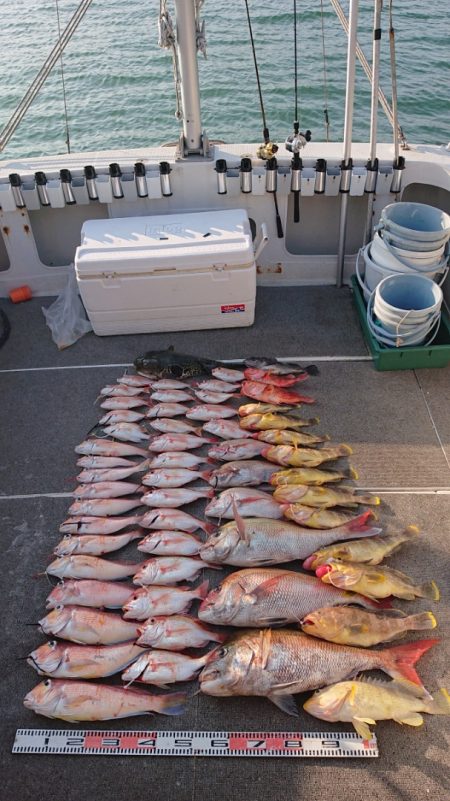 ARCADIAⅡ （アルカディアⅡ） 釣果…