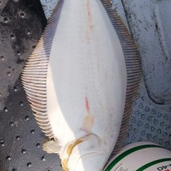 第二龍勢丸 釣果