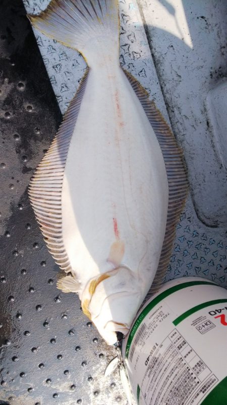 第二龍勢丸 釣果