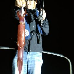 LUSTER『ラスター』 釣果