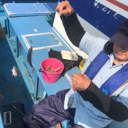 ヤザワ渡船 釣果