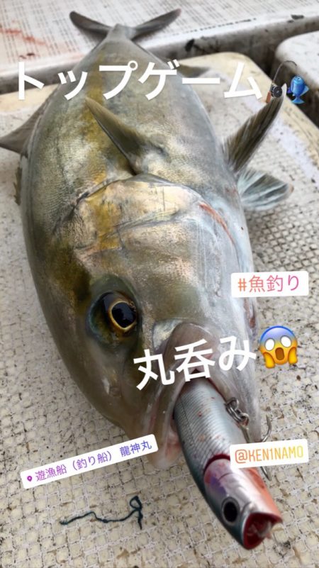 龍神丸(鹿児島) 釣果