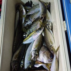 海龍丸(石川) 釣果