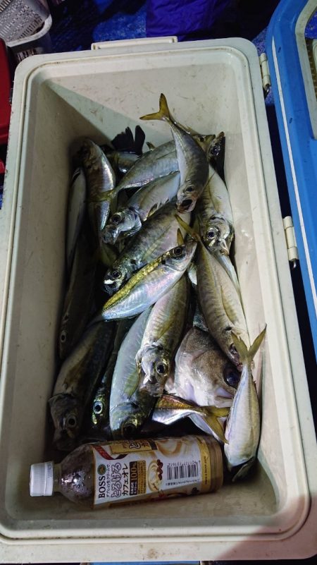 海龍丸(石川) 釣果