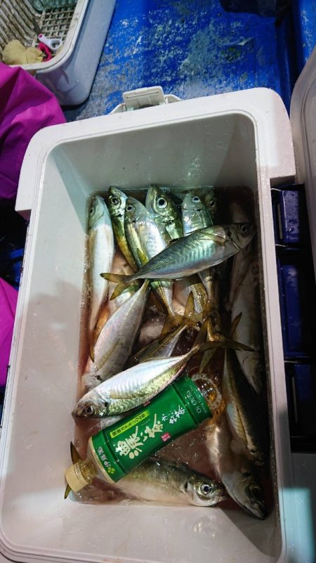 海龍丸(石川) 釣果