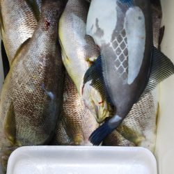 第二龍勢丸 釣果