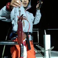 LUSTER『ラスター』 釣果