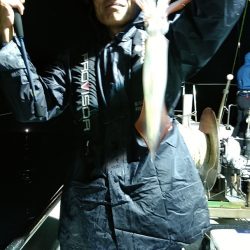 LUSTER『ラスター』 釣果