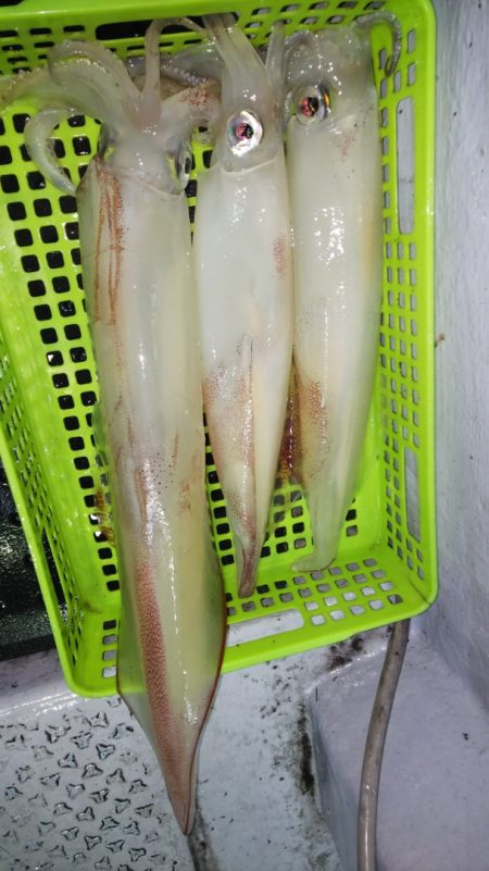 第二龍勢丸 釣果