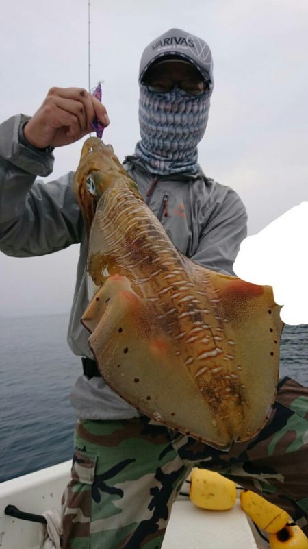 きずなまりん 釣果