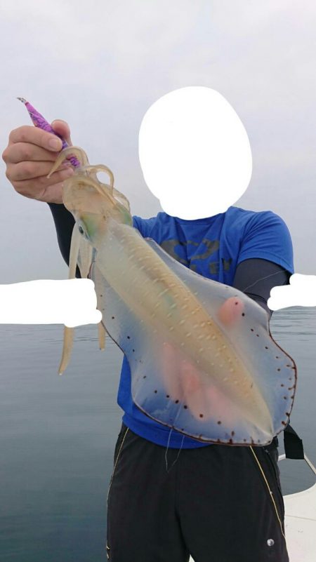 きずなまりん 釣果