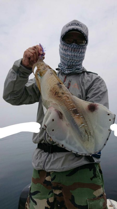 きずなまりん 釣果