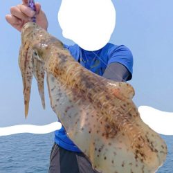 きずなまりん 釣果