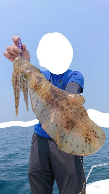 きずなまりん 釣果