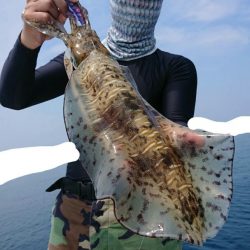 きずなまりん 釣果