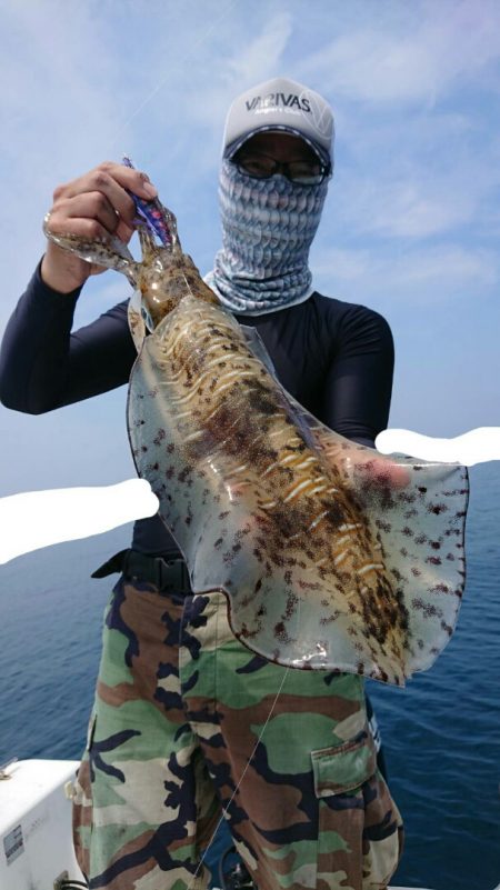 きずなまりん 釣果