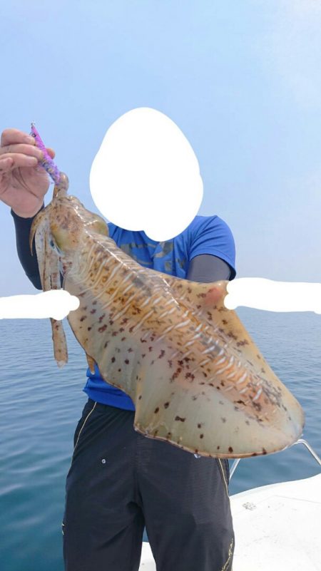 きずなまりん 釣果