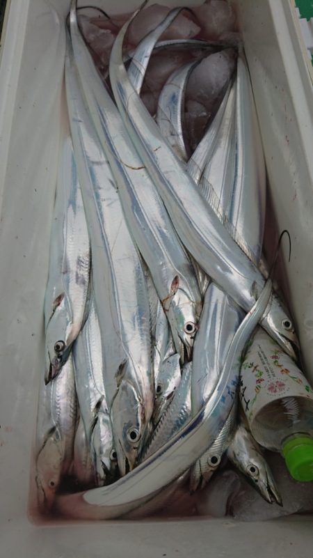 金沢八景鴨下丸 釣果