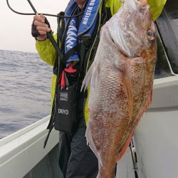 だて丸 釣果