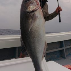 だて丸 釣果