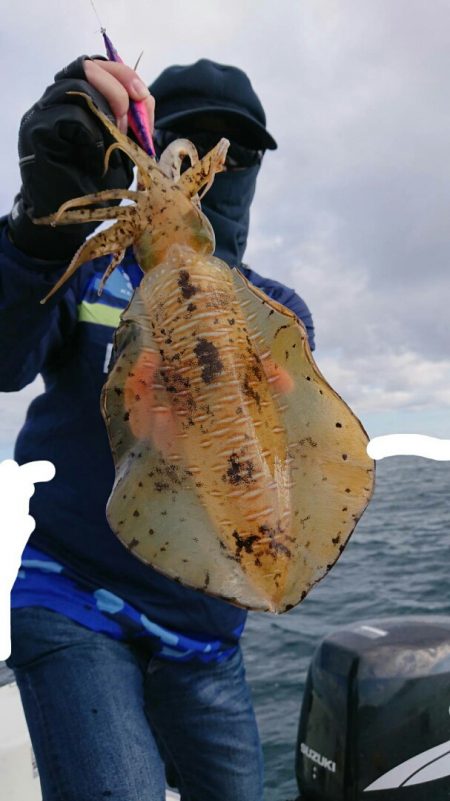 きずなまりん 釣果