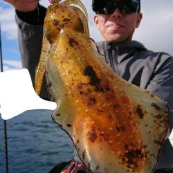 きずなまりん 釣果