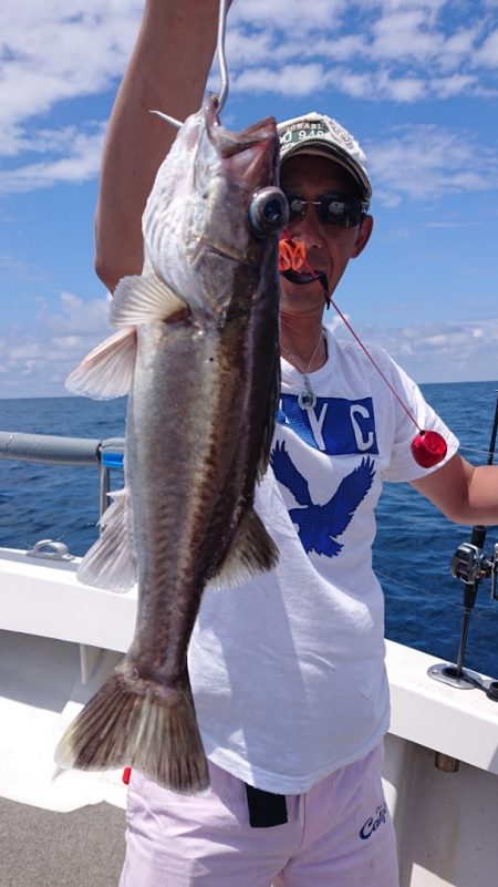 ARCADIAⅡ (アルカディアⅡ) 釣果