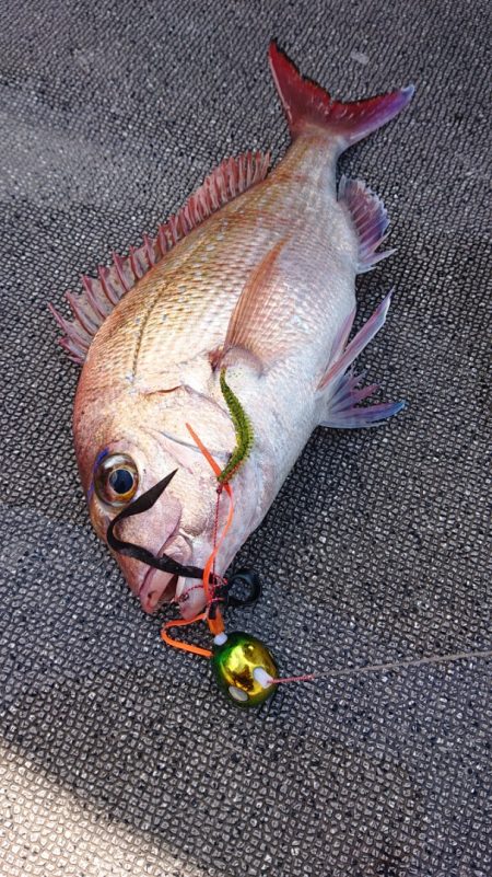 ARCADIAⅡ (アルカディアⅡ) 釣果