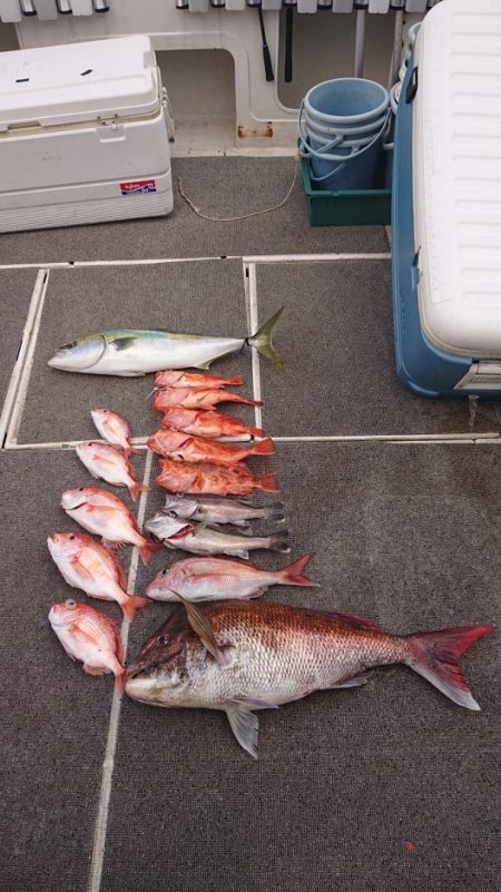 ARCADIAⅡ (アルカディアⅡ) 釣果