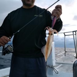 LUSTER『ラスター』 釣果