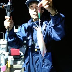 LUSTER『ラスター』 釣果