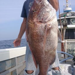 だて丸 釣果