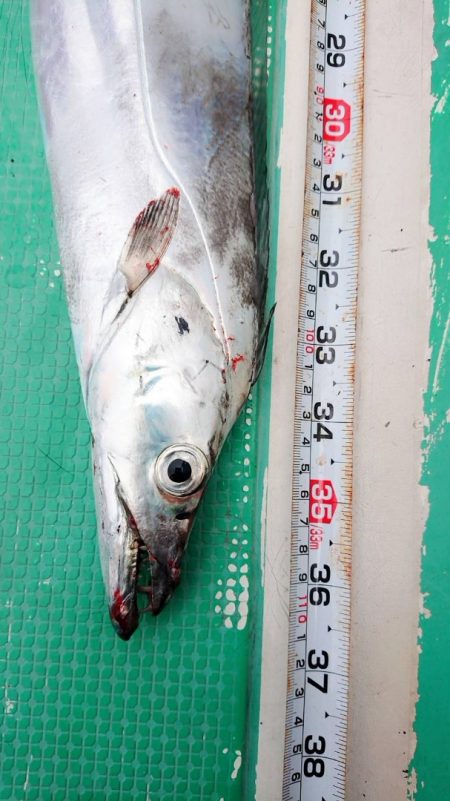 金沢八景鴨下丸 釣果