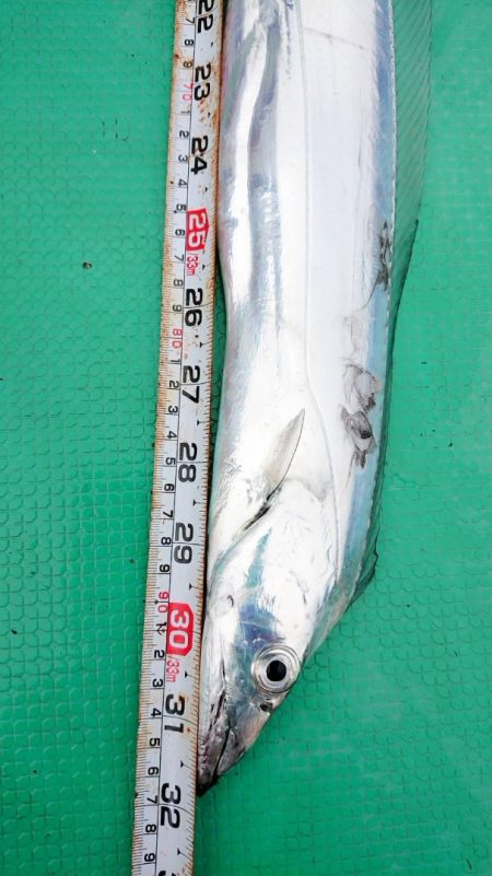 金沢八景鴨下丸 釣果